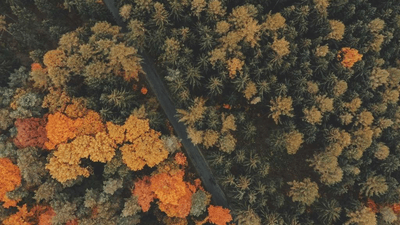 Bokeh - professional stock photography