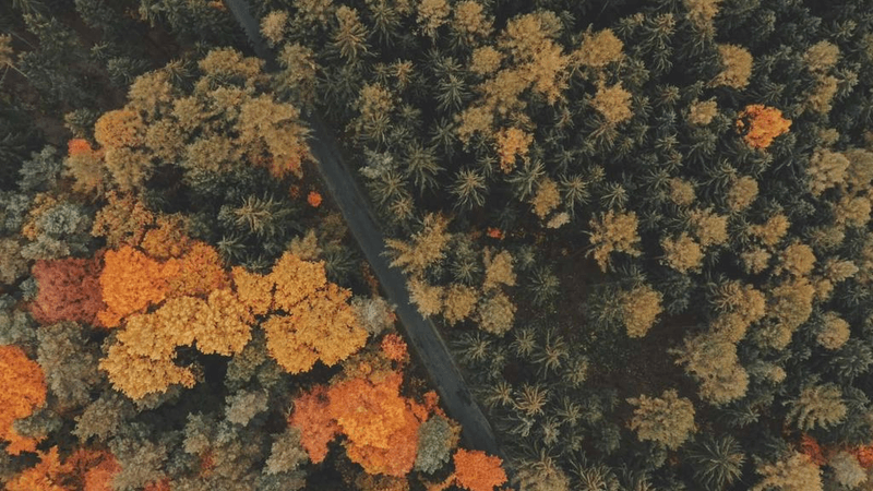 Bokeh - professional stock photography