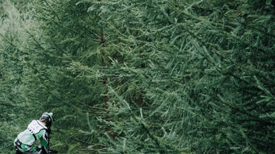 Camera - professional stock photography