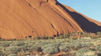 Camera - professional stock photography