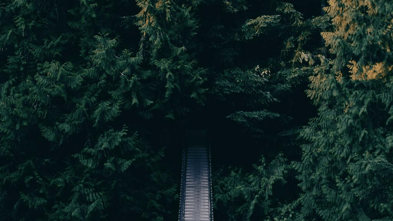 Composition - professional stock photography