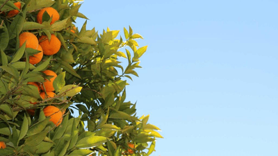 Editing - professional stock photography