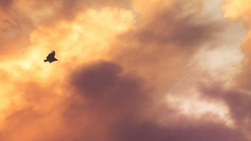 Editing - professional stock photography