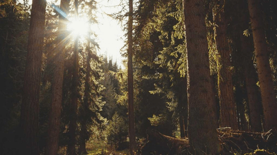 Editing - professional stock photography