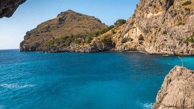 Film - professional stock photography