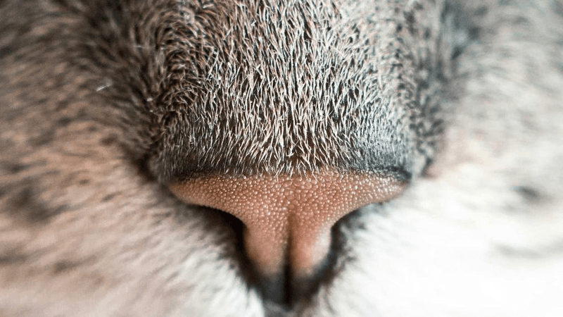 Filter - professional stock photography