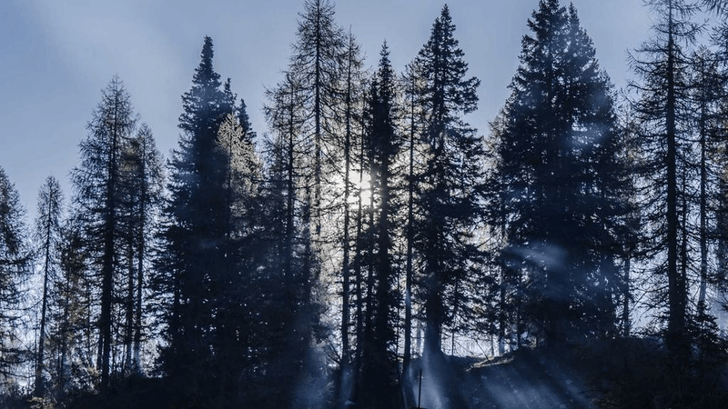 Filter - professional stock photography