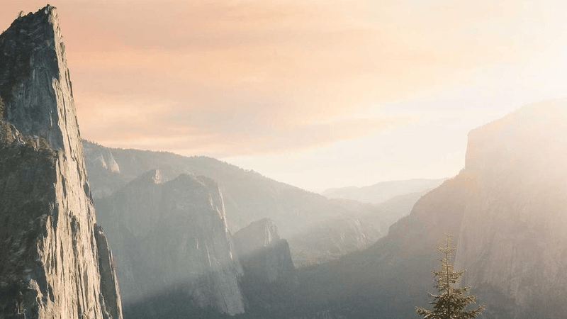 Filter - professional stock photography