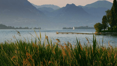 Filter - professional stock photography