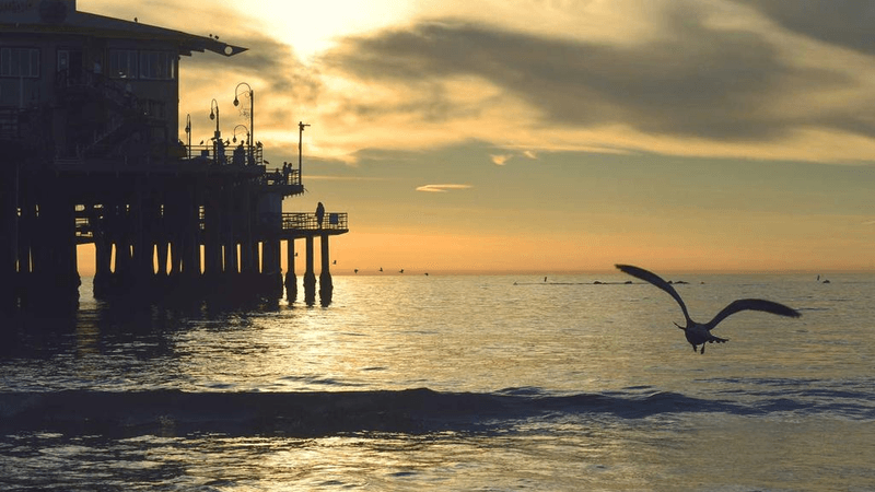 Flash - professional stock photography