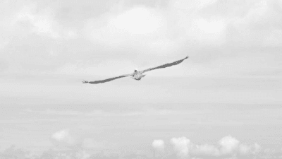 Landscape - professional stock photography