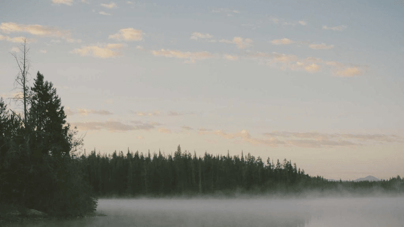 Landscape - professional stock photography