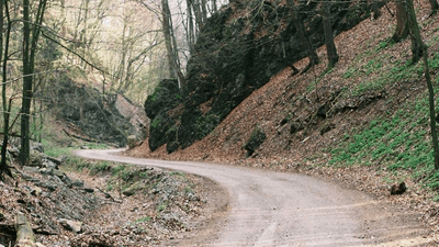 Lens - professional stock photography