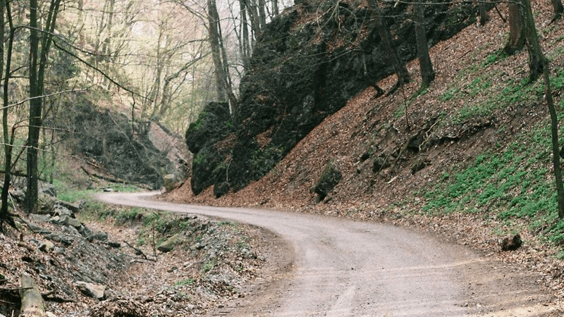 Lens - professional stock photography