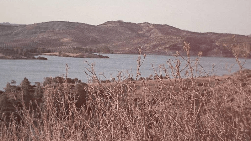 Lens - professional stock photography