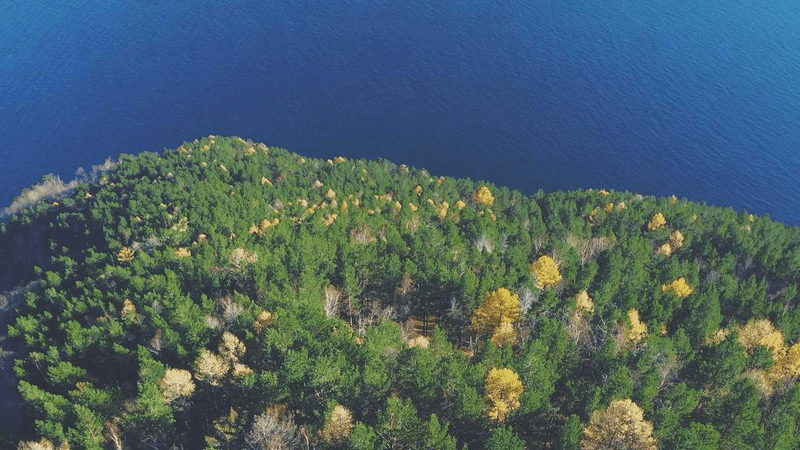 Lens - professional stock photography