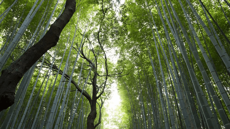 Lightroom - professional stock photography