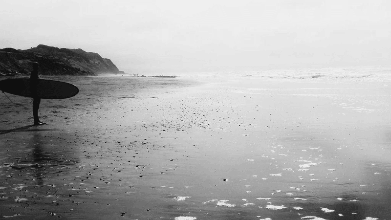 Lightroom - professional stock photography