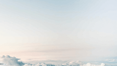 Macro - professional stock photography