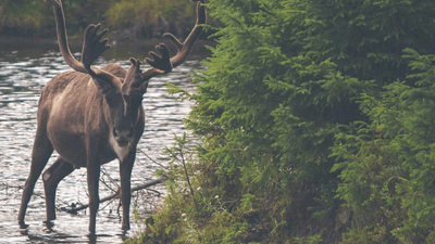 Macro - professional stock photography