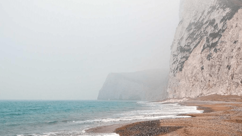 Macro - professional stock photography