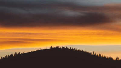 Portrait - professional stock photography