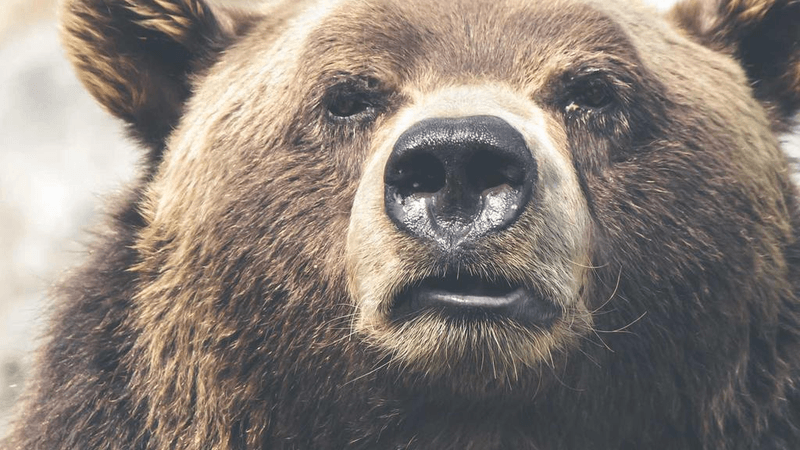 Street - professional stock photography