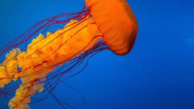 Street - professional stock photography