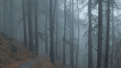 Studio - professional stock photography