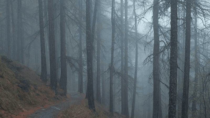 Studio - professional stock photography